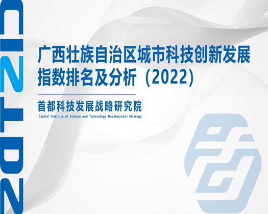 极品少萝被桶逼【成果发布】广西壮族自治区城市科技创新发展指数排名及分析（2022）